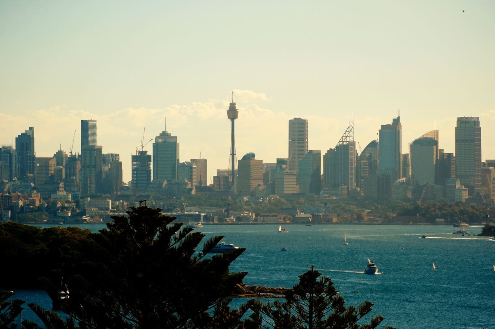 Skyline van Sydney bij avondlicht met hoogbouw en haven