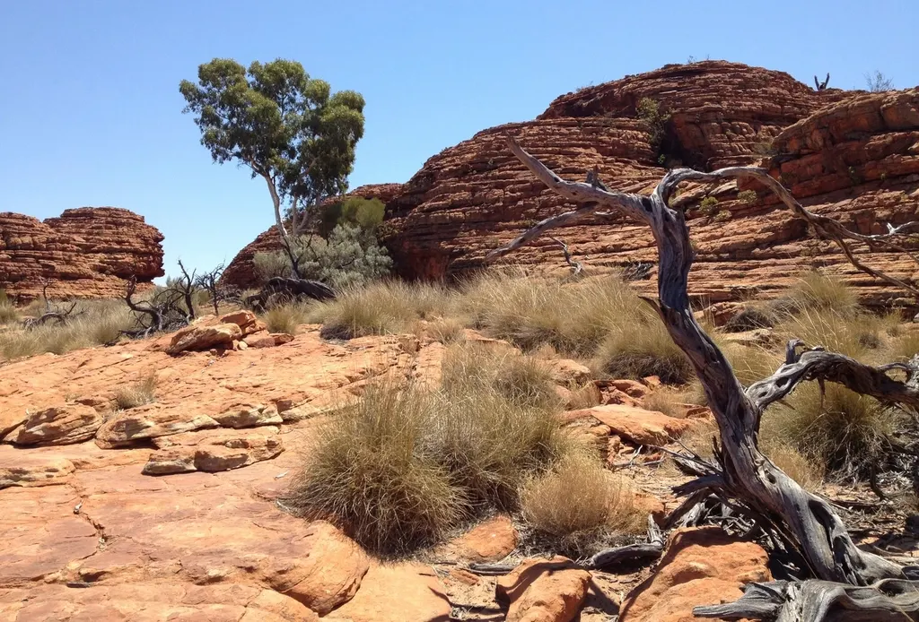 Uitgestrekt rood landschap van de Australische outback bij zonsondergang