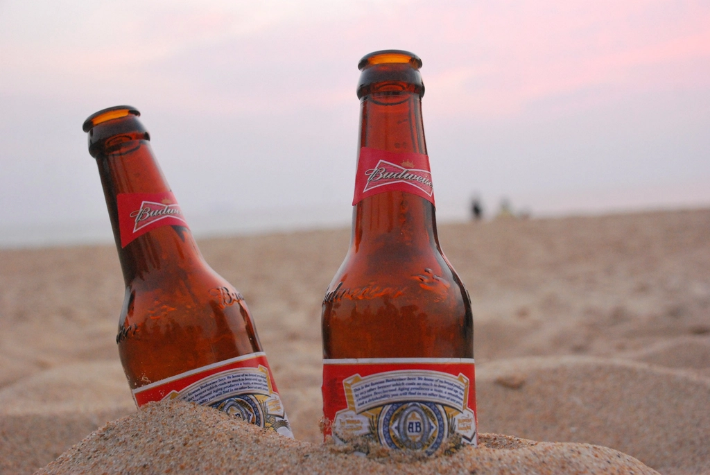Flesjes Budweiser-bier