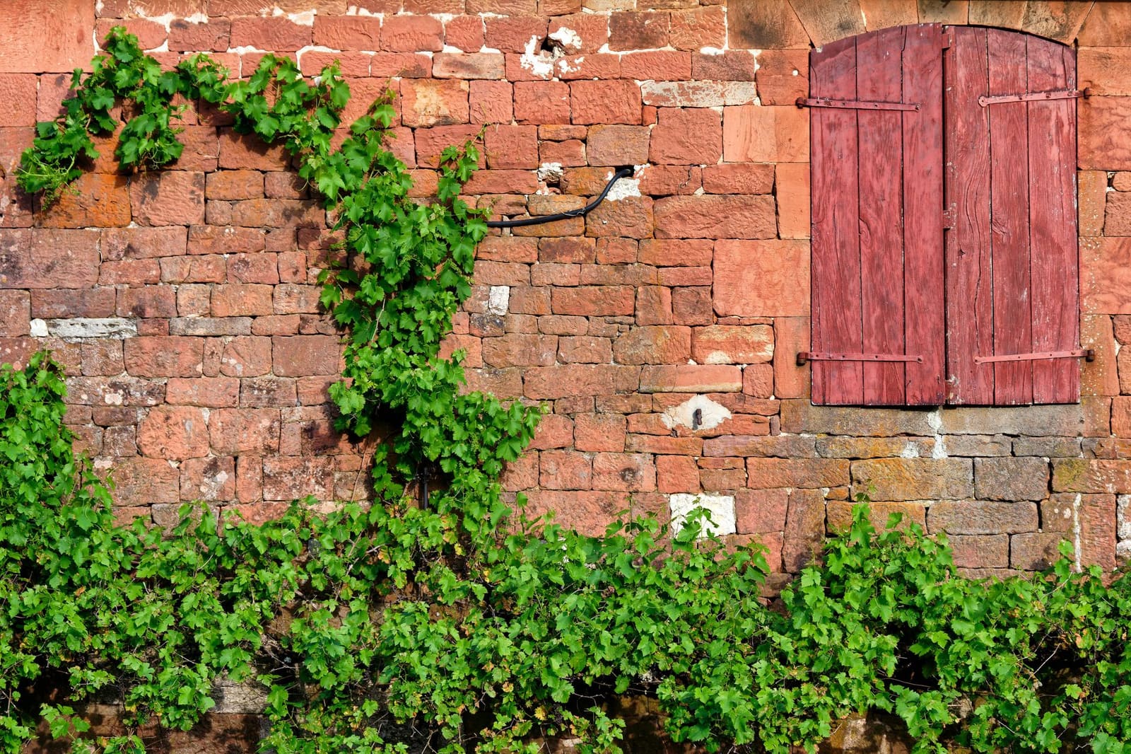 Stenen muur rond een ommuurde wijngaard, een clos, in de Bourgogne