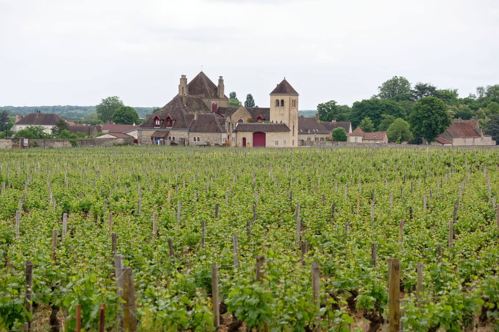 Bourgogne: de bourgogne-classificatie uitgelegd