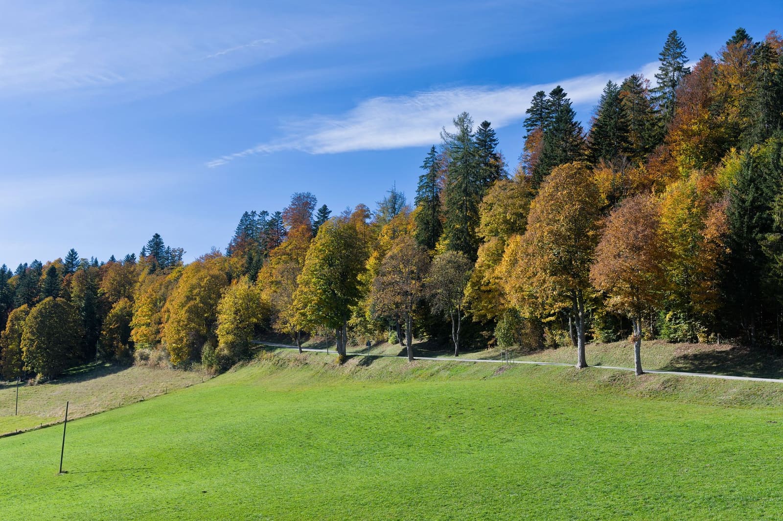 Herfstig wijngaard in de Jura, een wijngebied ten oosten van de Bourgogne