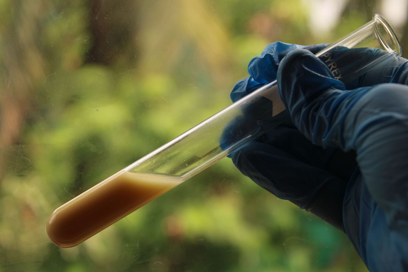 Laboratoriumopstelling met petrischaaltjes voor onderzoek naar gist en fermentatie
