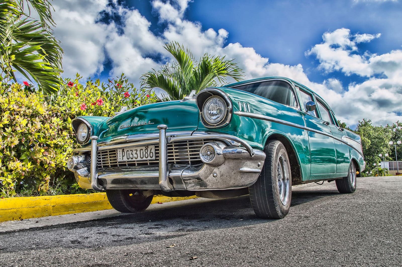 Turquoise klassieke Chevrolet met Cubaans kenteken geparkeerd bij palmbomen en bloeiende struiken.