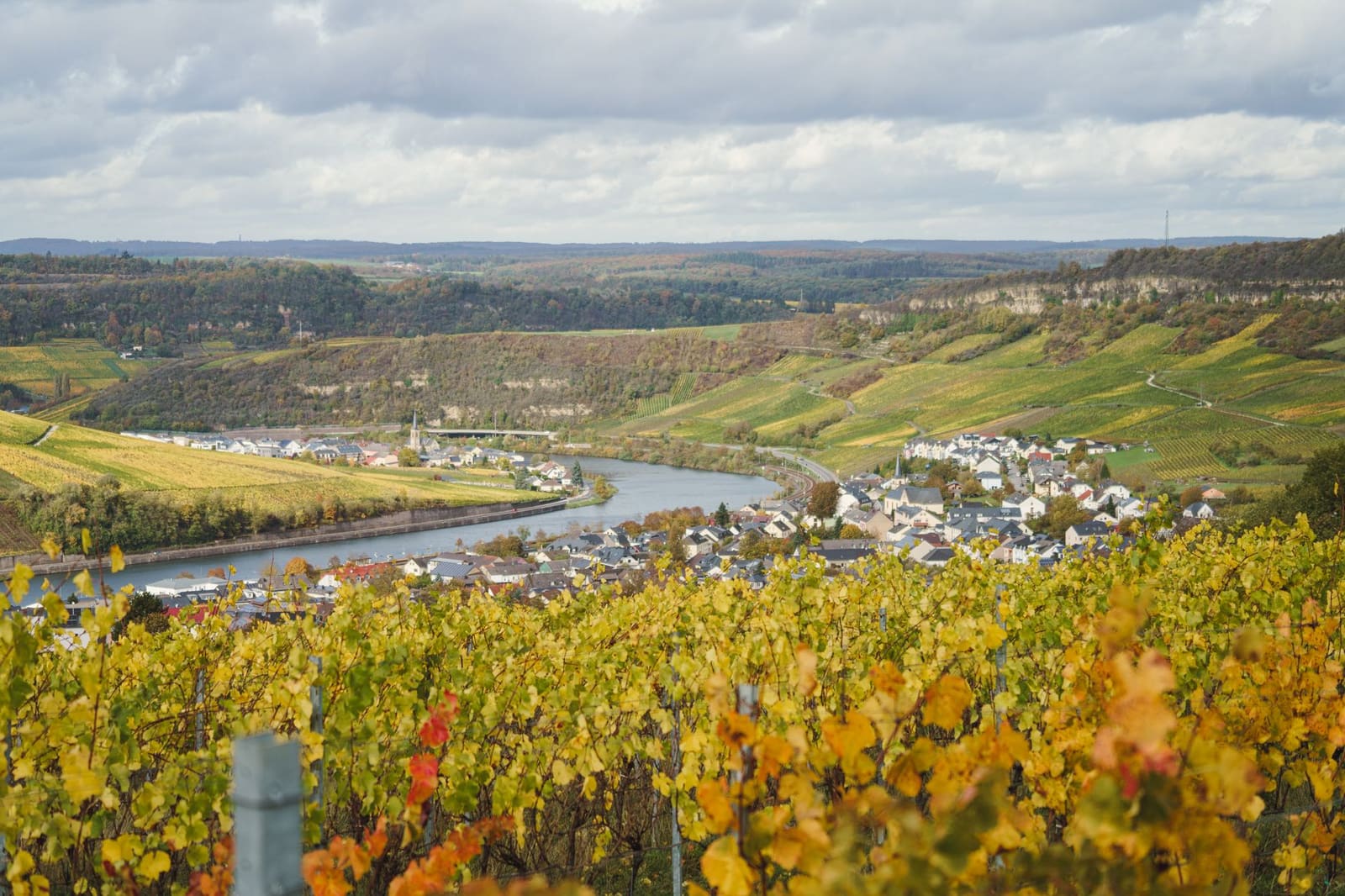 Wijngaard op een helling in de Bourgogne tijdens de herfst met gele bladeren