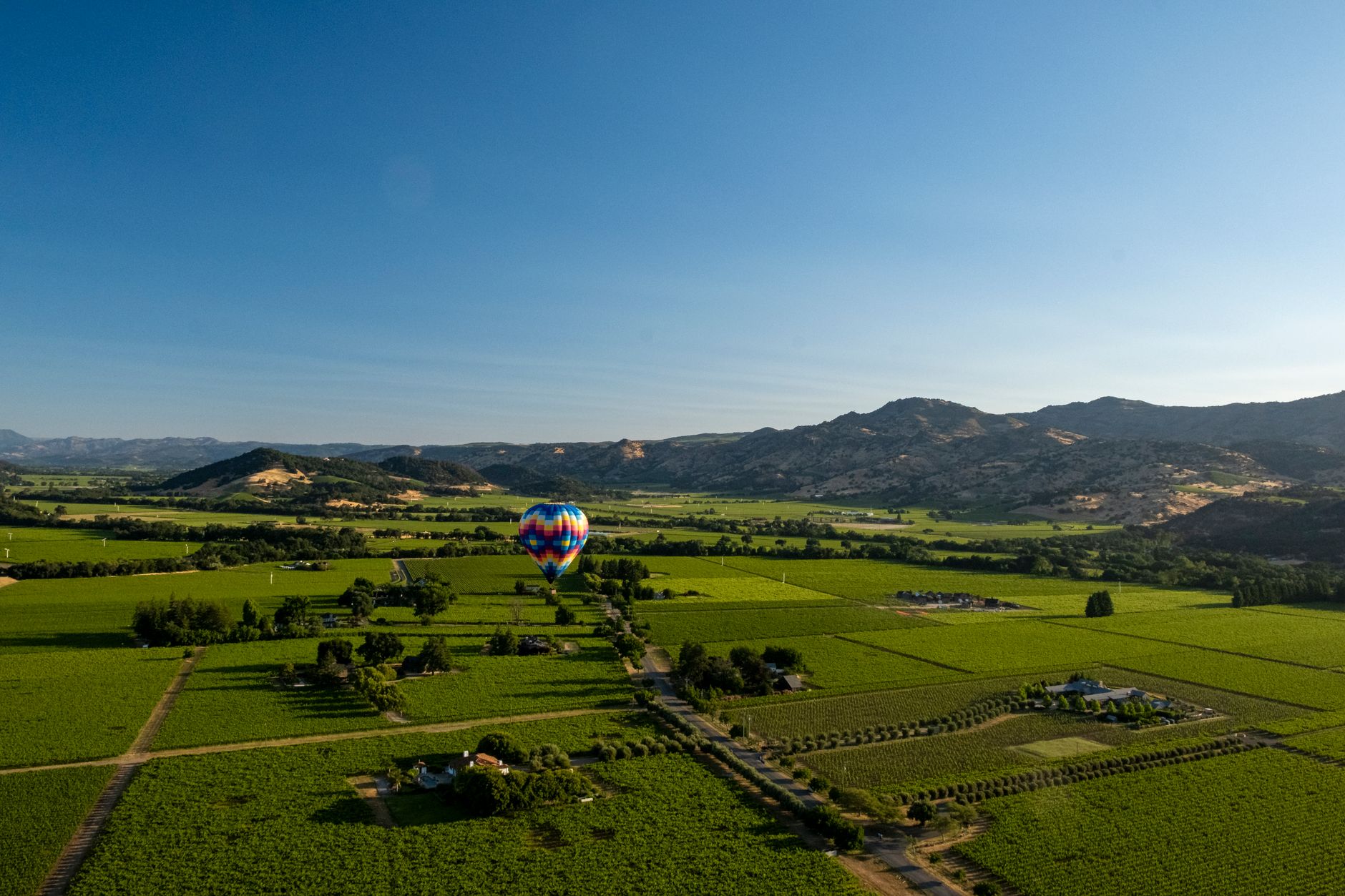 Wijnstokken in Napa Valley bij zonsondergang, herkomst van Freemark Abbey's Cabernet Sauvignon