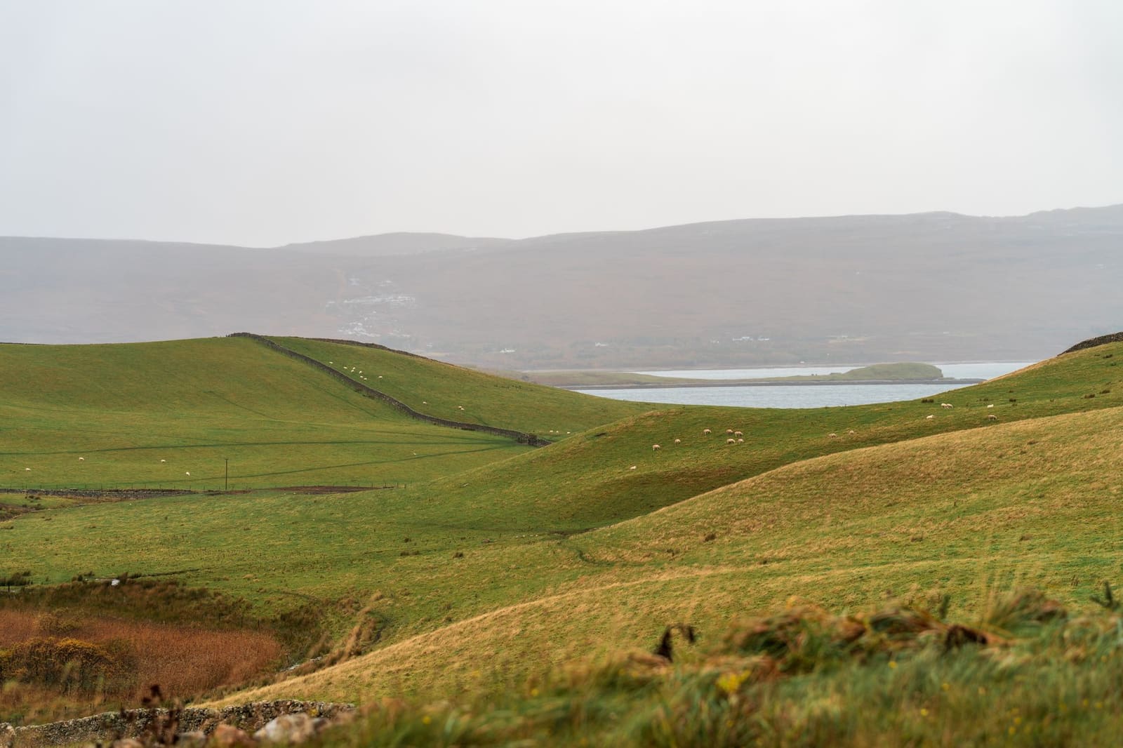 Ruig landschap van de Orkney-eilanden waar Highland Park zijn whisky destilleert