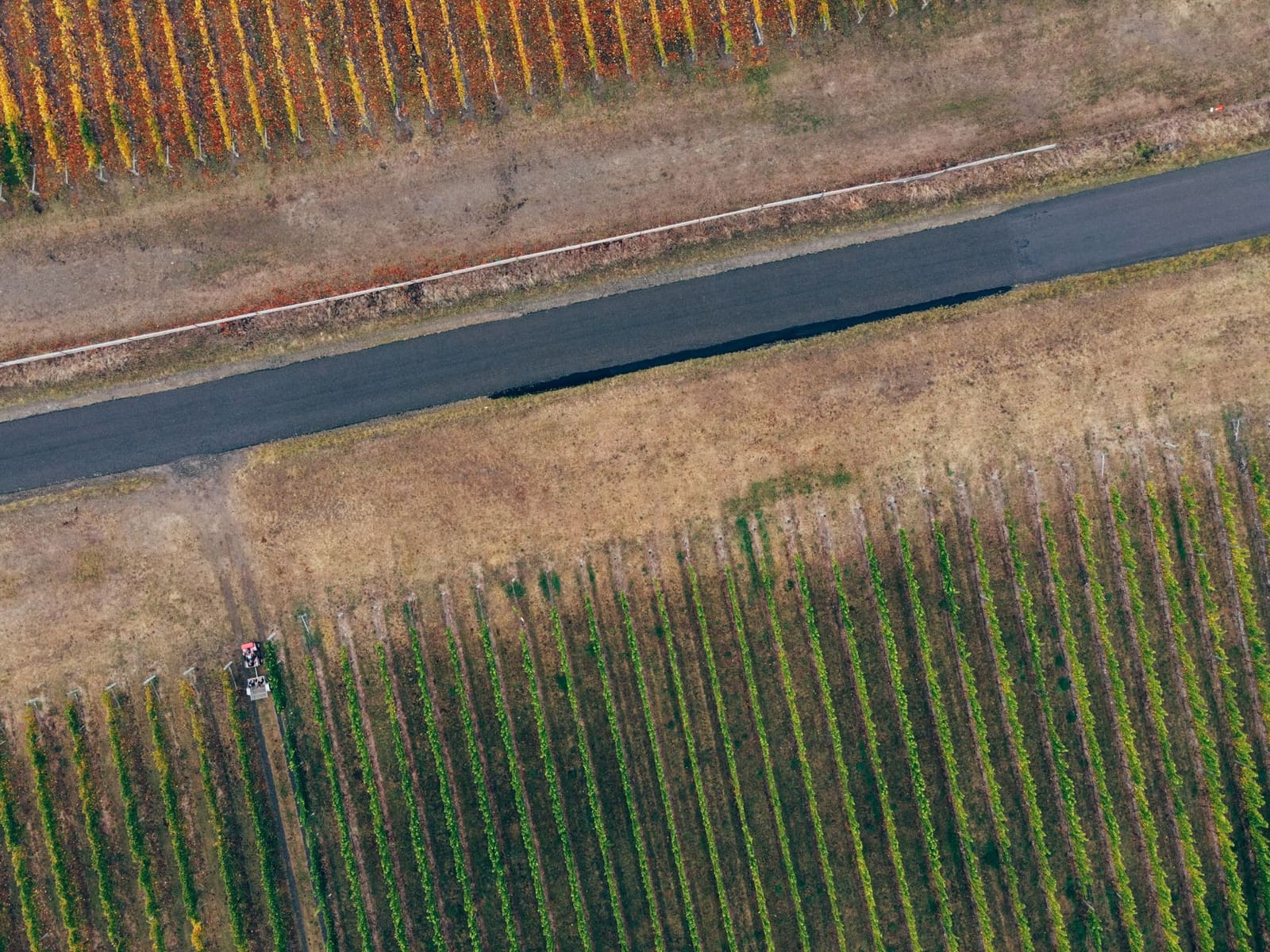 De wijngaarden van Vosne-Romanée in de Côte de Nuits