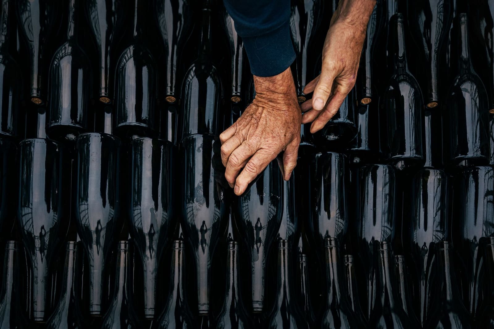Flessen riesling in een Duitse kelder