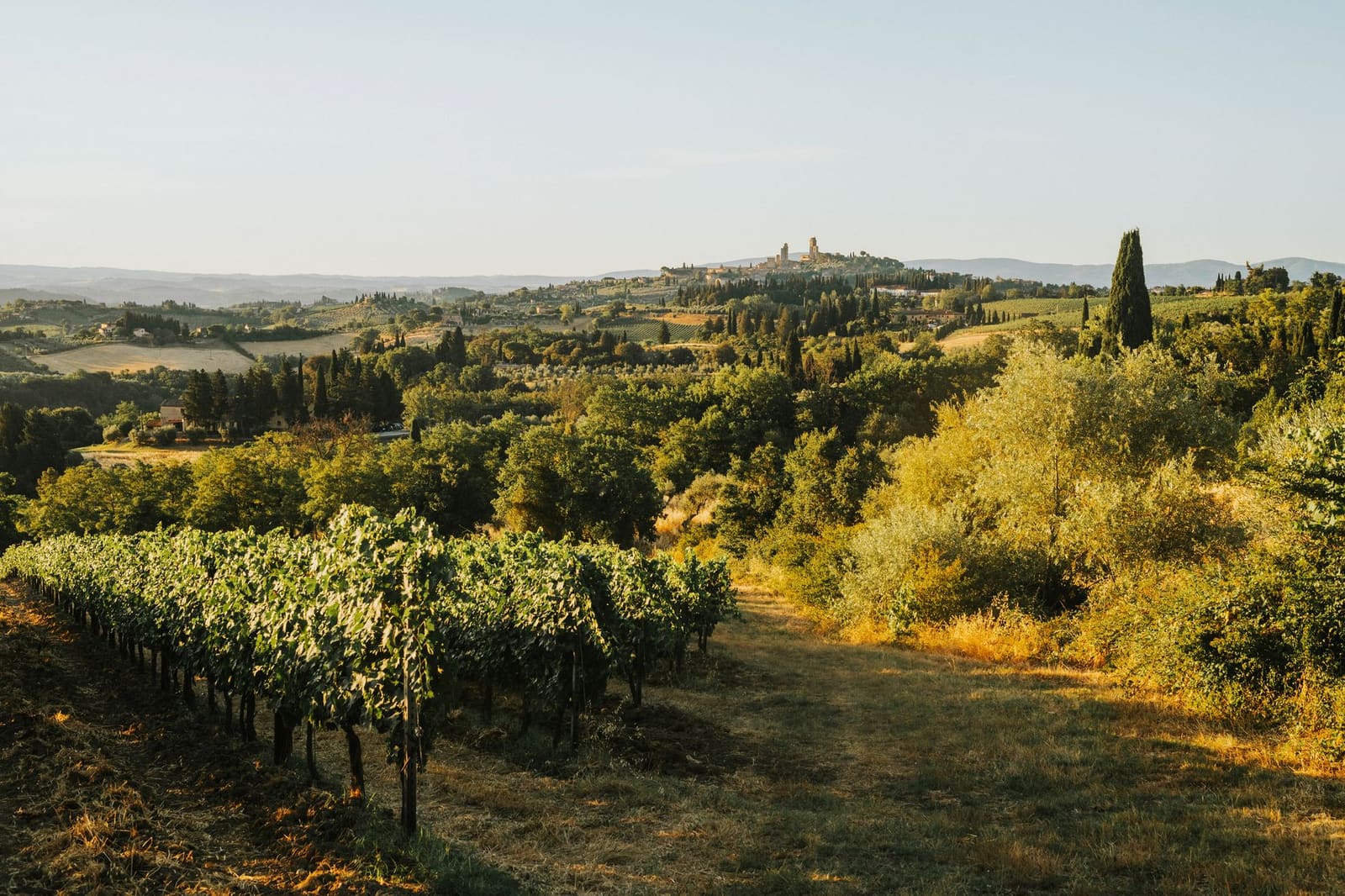 De heuvels van de Langhe bij zonsondergang
