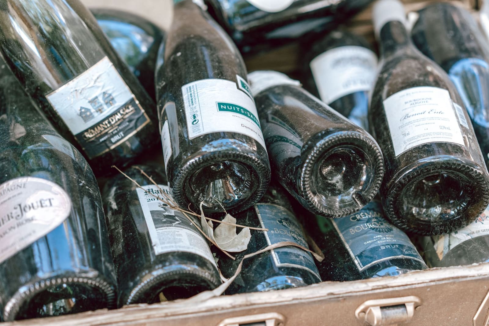 Verzameling wijnflessen naast elkaar op een houten wijnrek