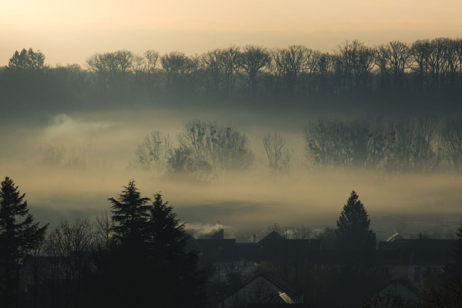 Ochtendmist boven wijngaarden in de Bourgogne