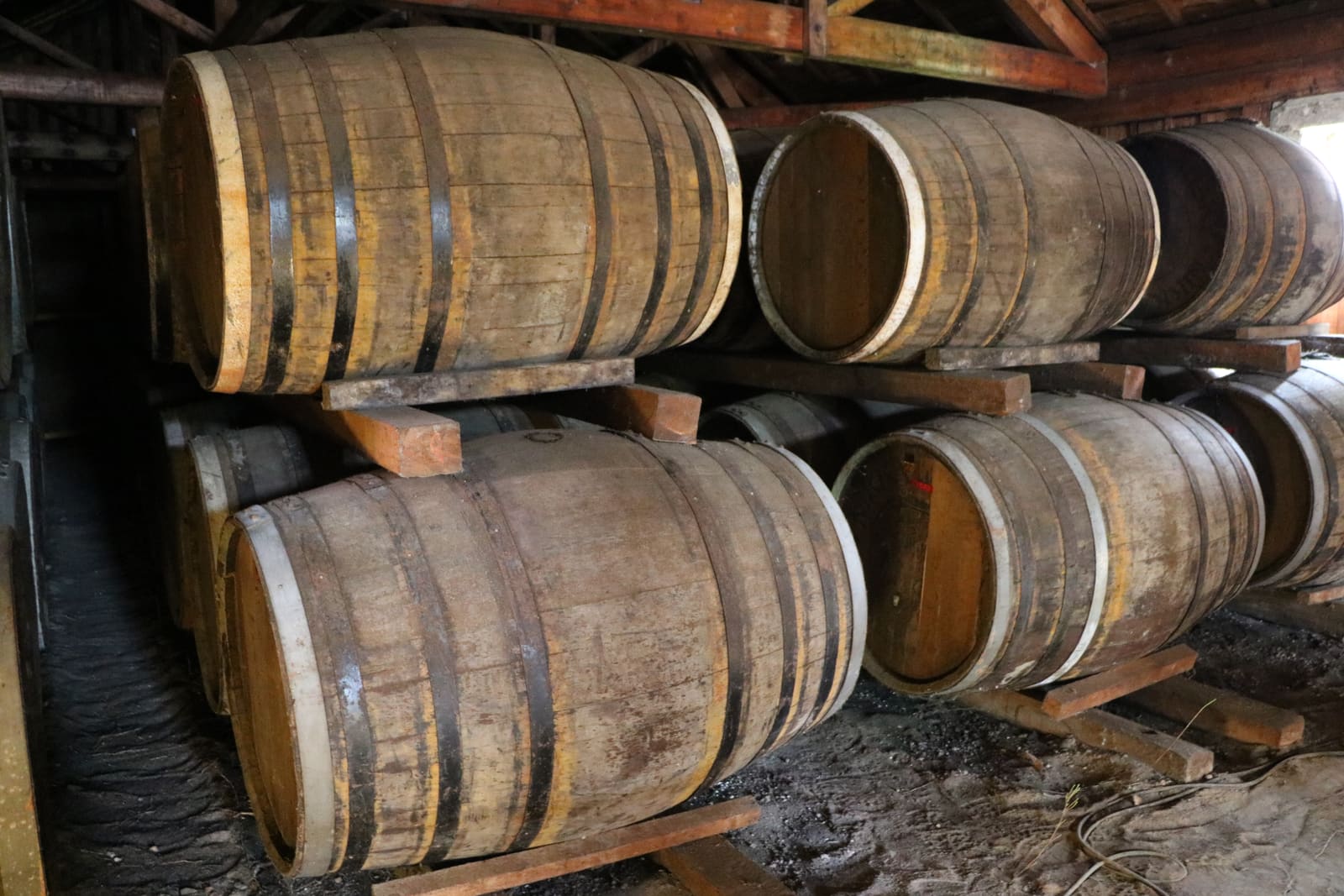 Rijen eikenhouten whiskyvaten liggen te rijpen in een Schotse opslagruimte