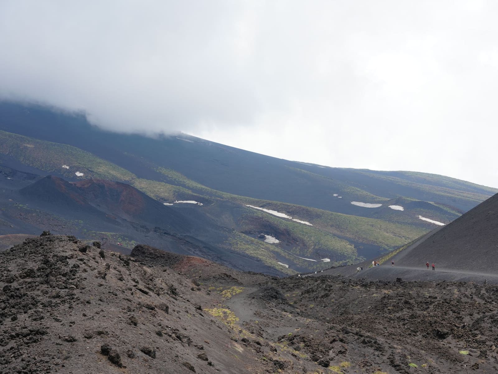 Vulkanische hellingen van de Etna waar kruiden voor amaro groeien