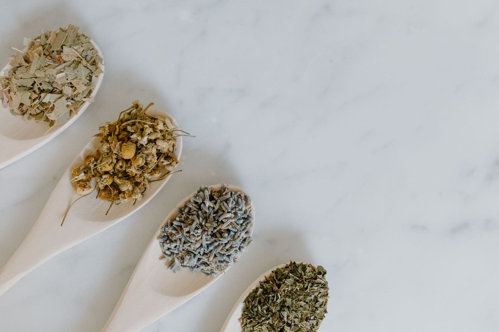 Verse kruiden en botanicals uitgestald voor ginproductie