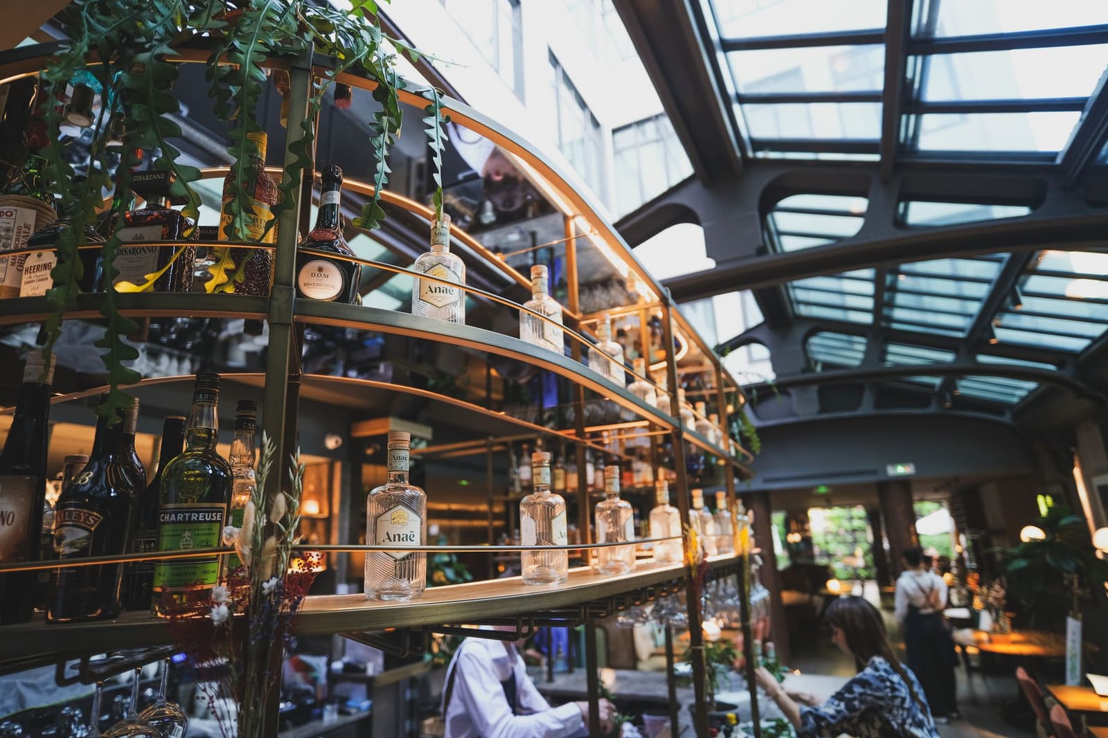 Flessen vermout en bitter opgesteld op een bar voor cocktailbereiding