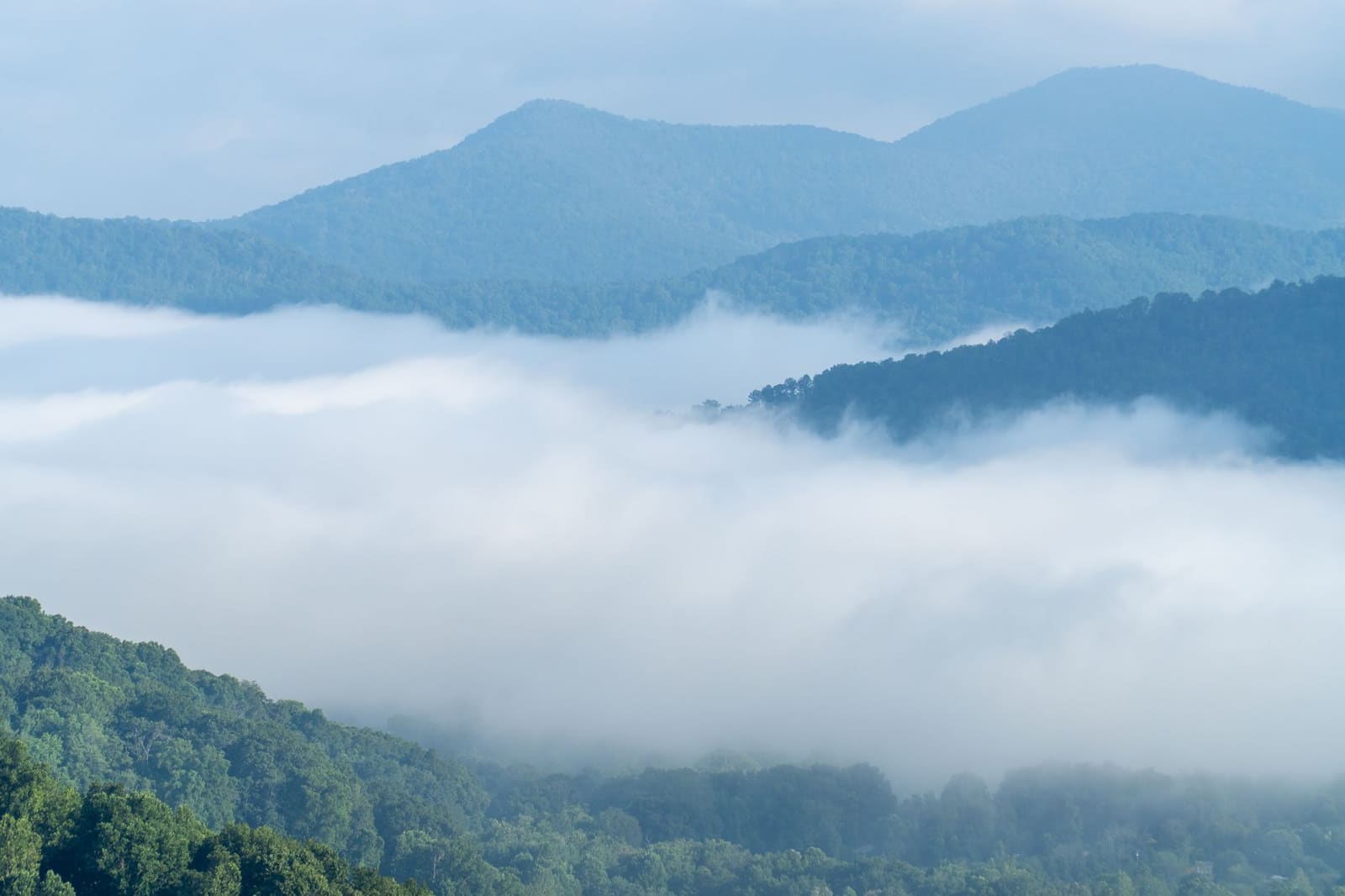 Glooiend berglandschap van de Blue Ridge Mountains bij zonsopgang