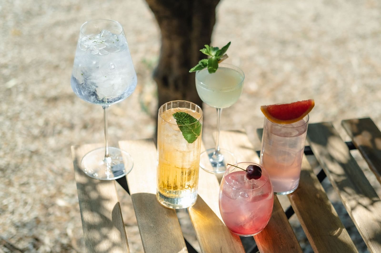 Gin-tonic met kruiden en citrus